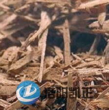 云开体育app最新版本