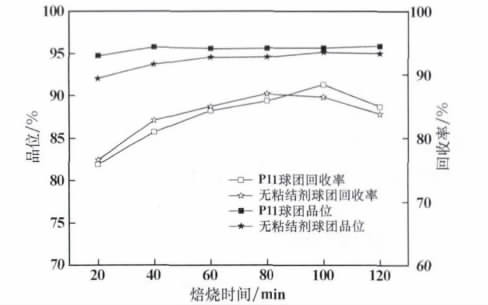 云开体育app最新版本